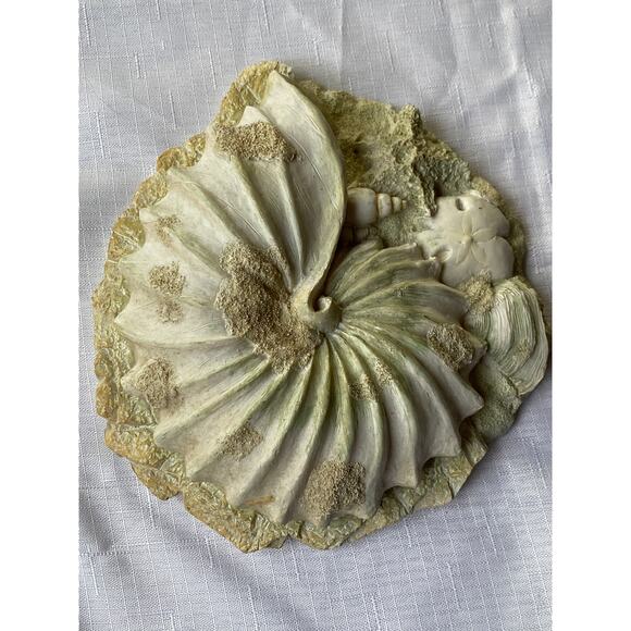 Set of 3 Sea Shell Wall Art 3-D, rough sand-like plaster or resin Apx 7-8" EUC - Picture 4 of 13